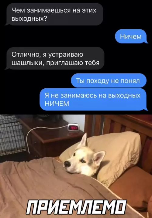 Смешная картинка №647394