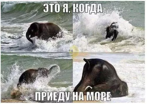 Смешная картинка №295761