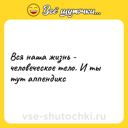Шутка: Вся наша жизнь - человеческое тело. И ты тут аппендикс