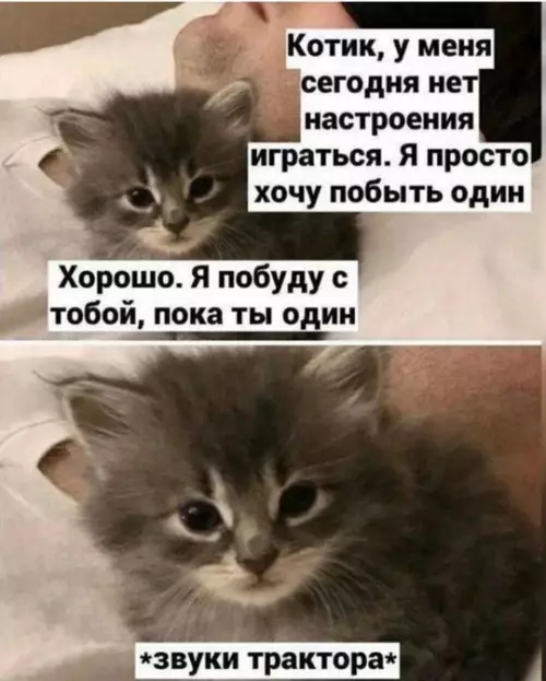 Смешная картинка №737503