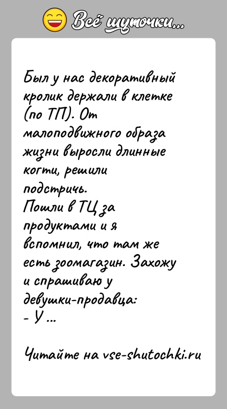 История: Был у нас декоративный кролик держали в клетке (по ТП). От малоподвижного образа жизни выросли длинные когти, решили подстричь.Пошли в