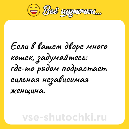 Шутка: Если в вашем дворе много кошек, задумайтесь: где-то рядом подрастает сильная независимая женщина.