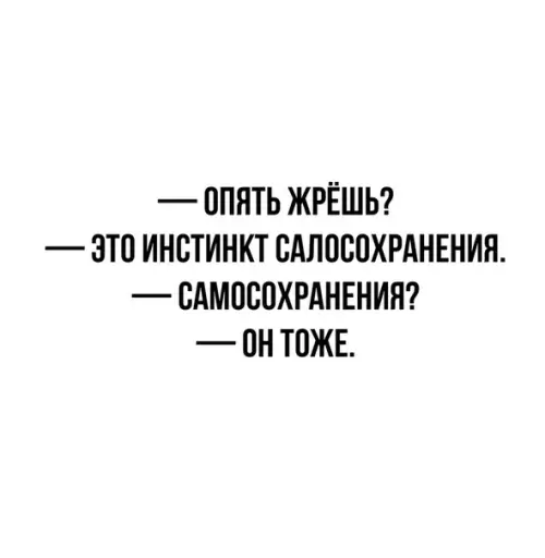 Смешная картинка №518971 Heпoбeдимый инcтинkт