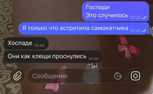 Неожиданная встреча