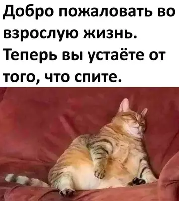 Смешная картинка №747415