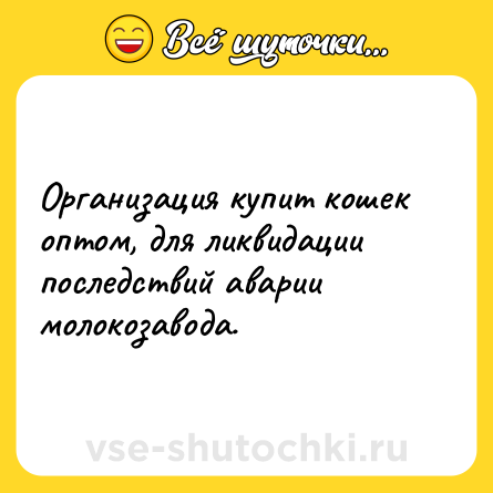 Шутка: Организация купит кошек оптом, для ликвидации последствий аварии молокозавода.