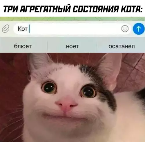 Смешная картинка №671578