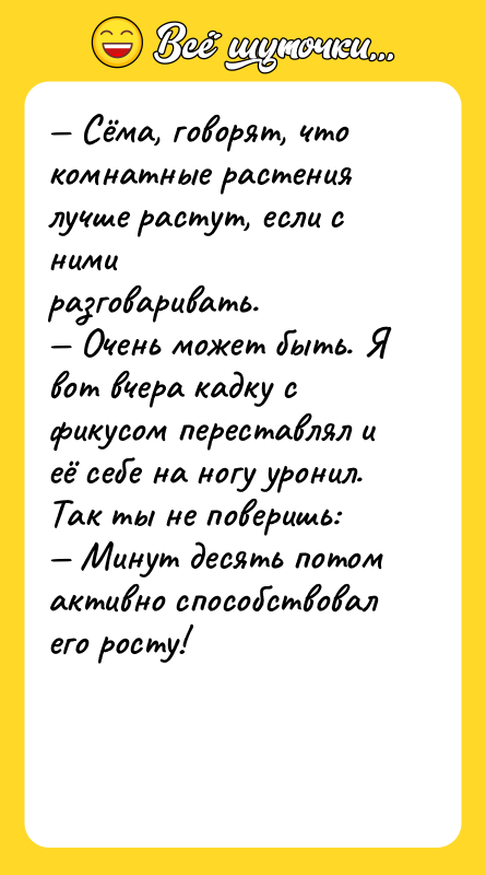 Сёма, говорят, что комнатные растения лучше растут, если с