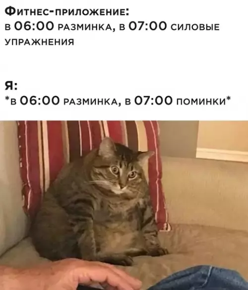 Смешная картинка №571223