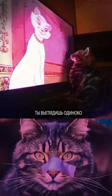 Смешная картинка №743735