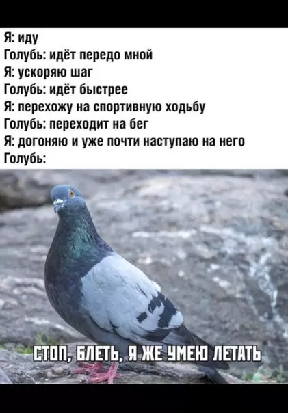 Смешная картинка №376118