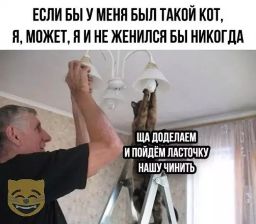 Смешная картинка №321200