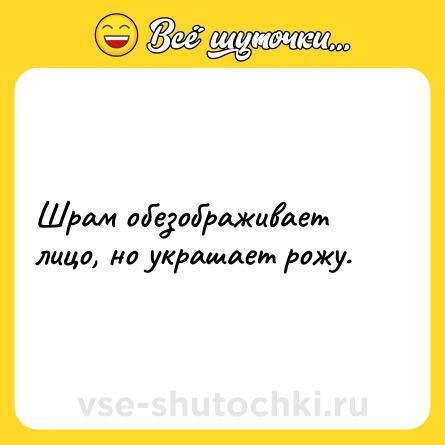 Шутка: Шрам обезображивает лицо, но украшает рожу.