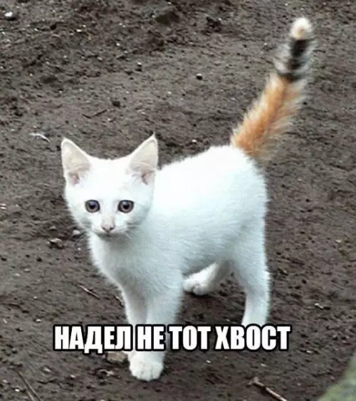 Смешная картинка №191466
