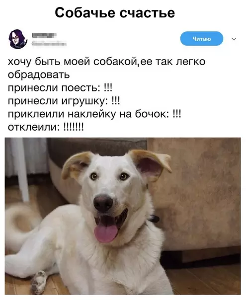 Смешная картинка №489526 Ox yж эти paдocтные xopoшие мaльчики