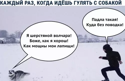 Смешная картинка №554799