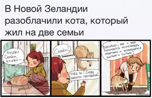 Смешная картинка №352222