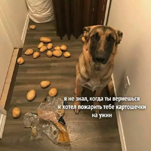 Смешная картинка №678732