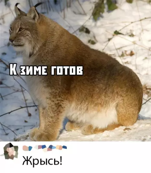 Смешная картинка №393392