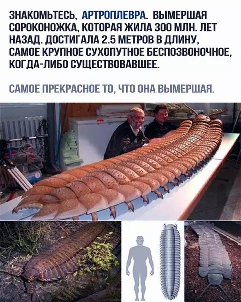 Смешная картинка №265384