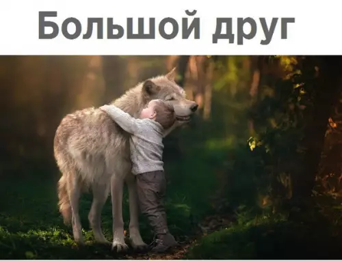 Смешная картинка №231122