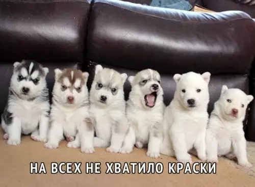 Смешная картинка №307150