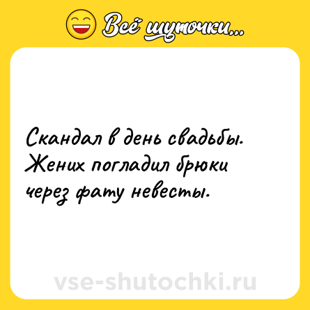 Шутка: Скандал в день свадьбы. Жених погладил брюки через фату невесты.