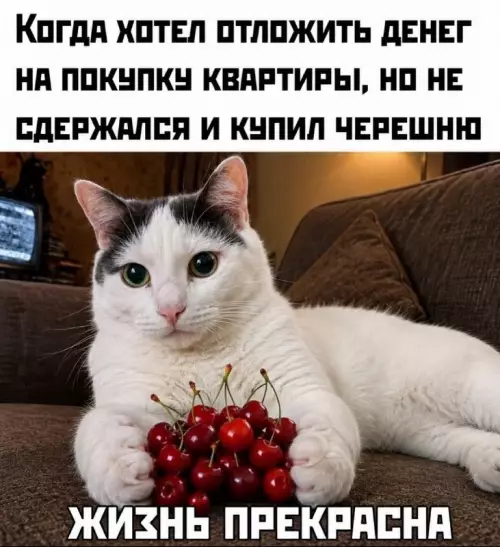 Инвестиции уровня бог 🍒 - КОГДА ХОТЕЛ ОТЛОЖИТЬ ДЕНЕГ НА ПОКУПКУ КВАРТИРЫ, НО НЕ СДЕРЖАЛСЯ