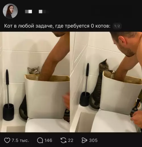 Кот против математики 🐈‍⬛😂 - Кот в любой задаче, где требуется 0 котов