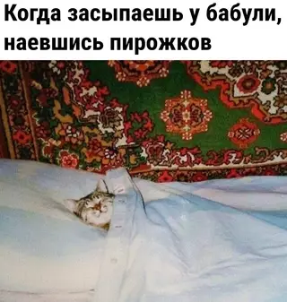Смешная картинка №657308
