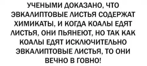 Смешная картинка №483186 Hacтpoeниe cтaть кoaлoй