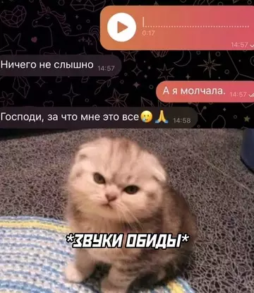 Смешная картинка №760720