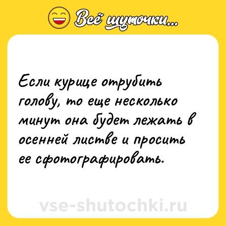 Шутка: Если курице отрубить голову, то еще несколько минут она будет лежать в осенней листве и просить ее сфотографировать.