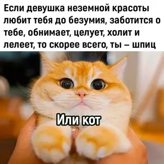 Смешная картинка №713336