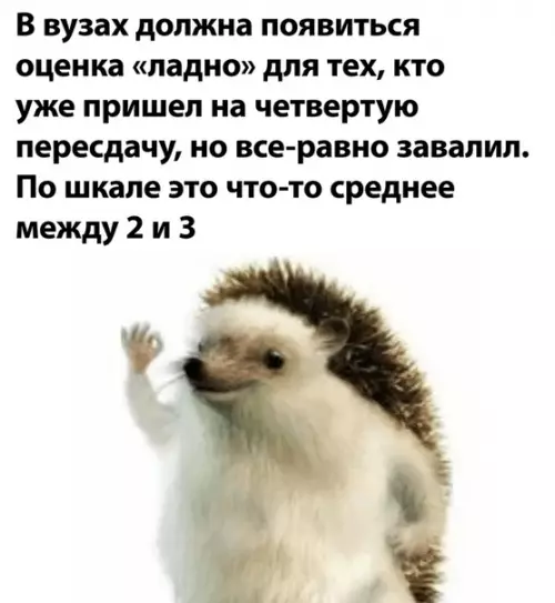 Смешная картинка №507368 студенты