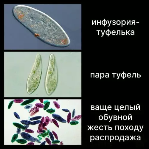 Смешная картинка №760009