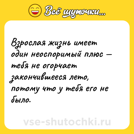 Шутка: Взрослая жизнь имеет один неоспоримый плюс — тебя не огорчает закончившееся лето, потому что у тебя его не было.