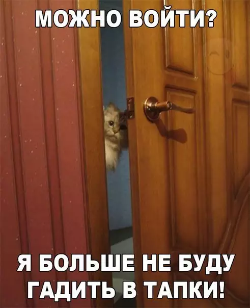 Смешная картинка №199780