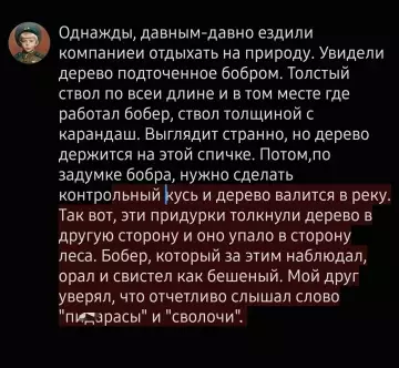 Бобер — гений стратегии! 😂 - Однажды, давным-давно ездили компанией отдыхать на природу. Увидели дерево подточенное