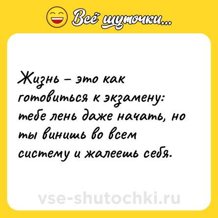 Шутка: Жизнь это как готовиться к экзамену: тебе лень даже начать, но ты винишь во всем систему и жалеешь себя.