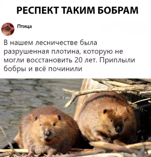 Смешная картинка №302979