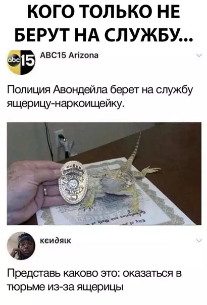 Смешная картинка №309621