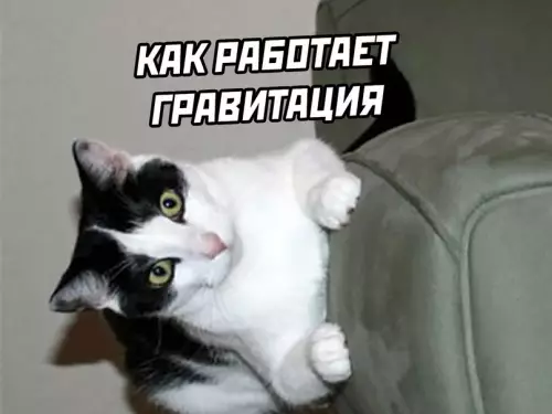 продолжение Смешная картинка №610627