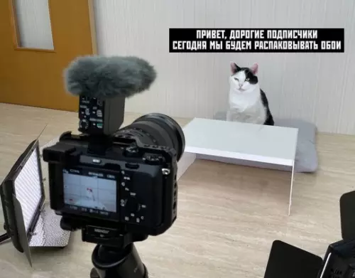 Смешная картинка №743568