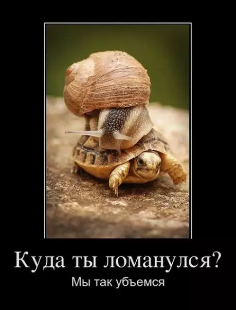Смешная картинка №302085