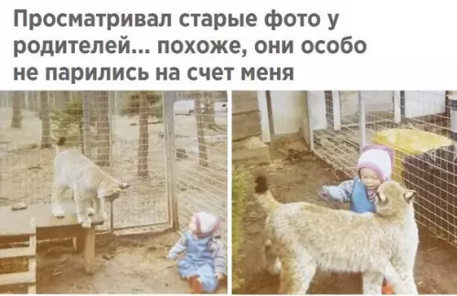 Смешная картинка №214669