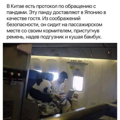 Смешная картинка №414639