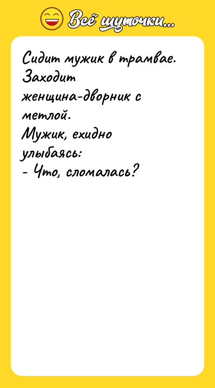 Сидит мужик в трамвае. Заходит женщина-дворник с метлой. Мужик, ехидно