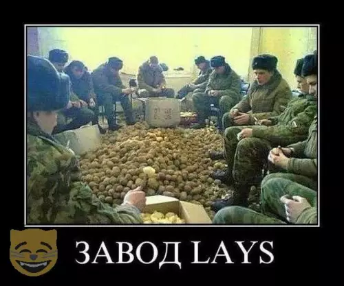 Смешная картинка №325389