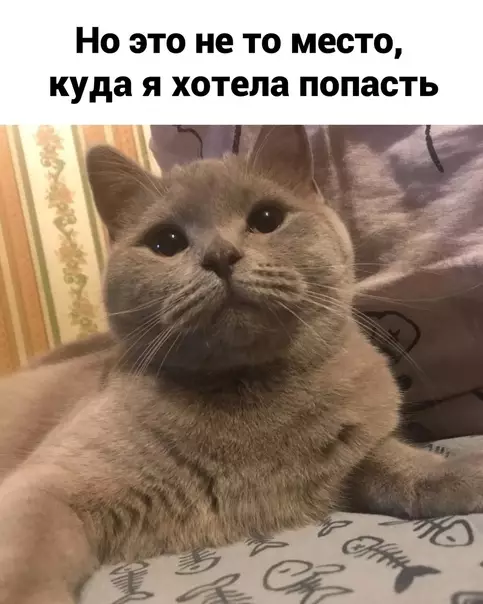 продолжение Смешная картинка №624694 Понимаем